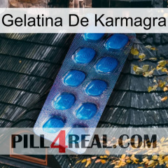 Karmagra Jelly viagra1